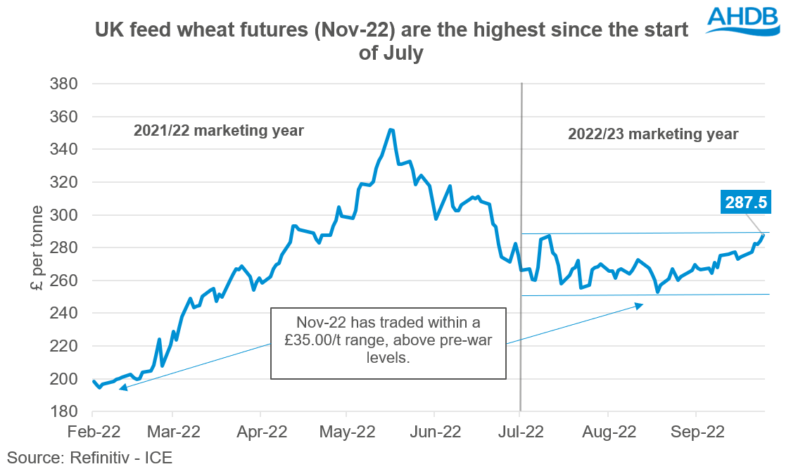 A graph showing UK feed wheat futures prices.